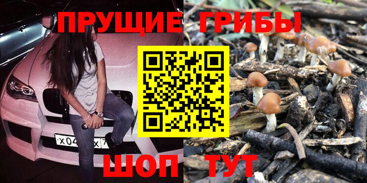 Псилоцибиновые грибы Psilocybe Гагарин